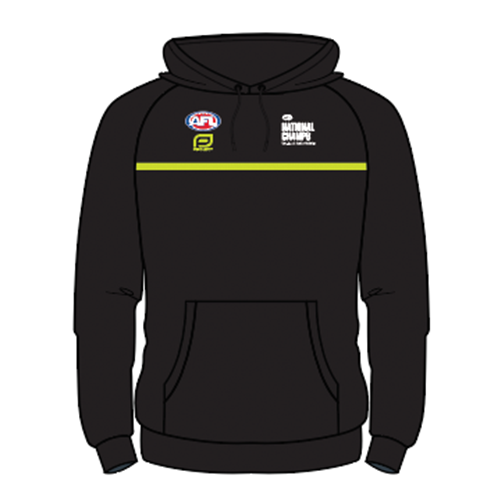 AFL National Champs Men's splice hoodie